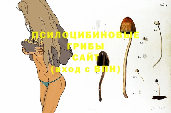 ешки Усолье-Сибирское