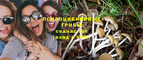молекула духа Усинск