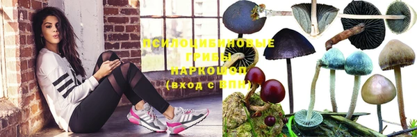 молекула духа Усинск