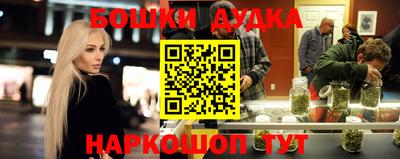 индика Мариинск
