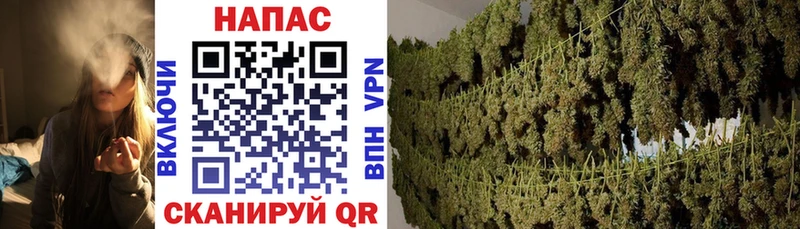 Шишки марихуана OG Kush  Биробиджан 
